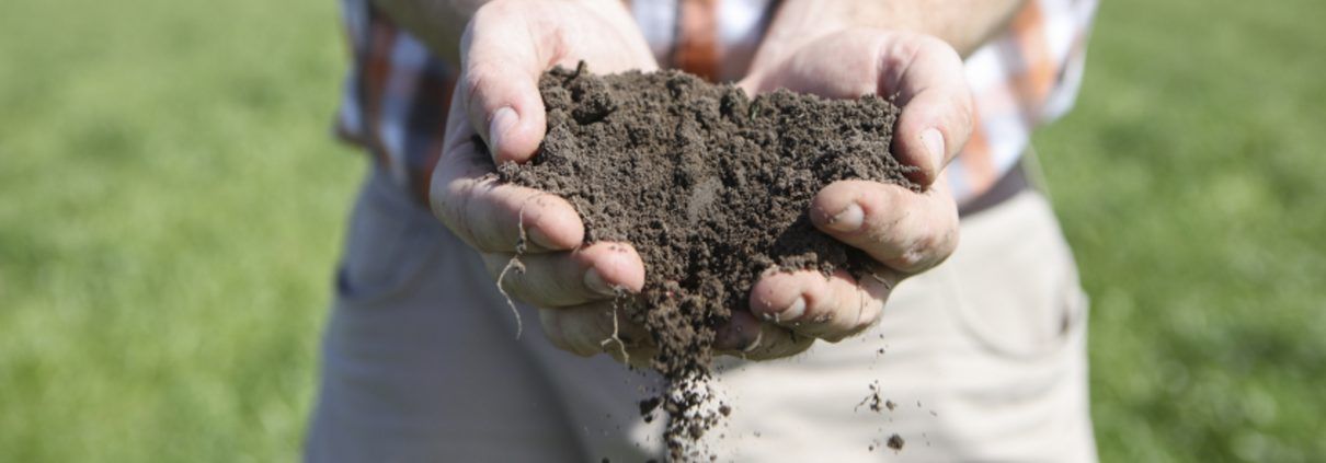 Soil is a living ecosystem