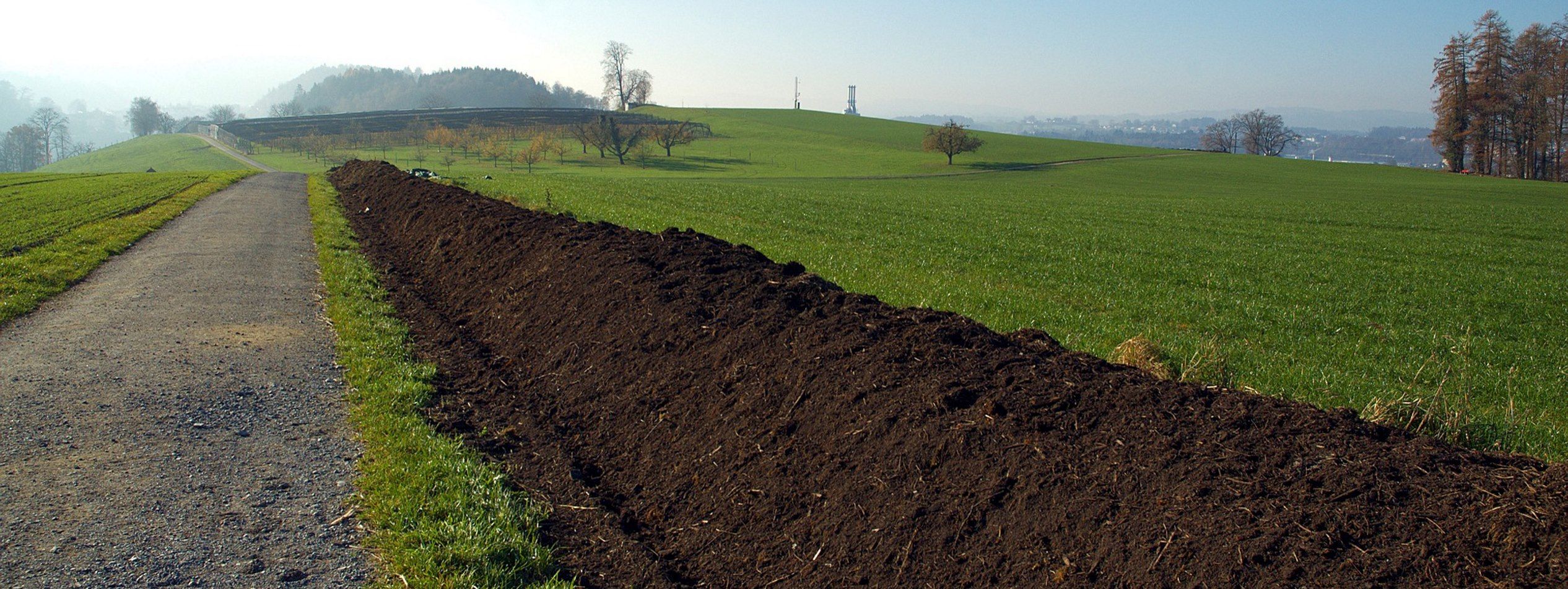 Effective nutrient cycling - compost