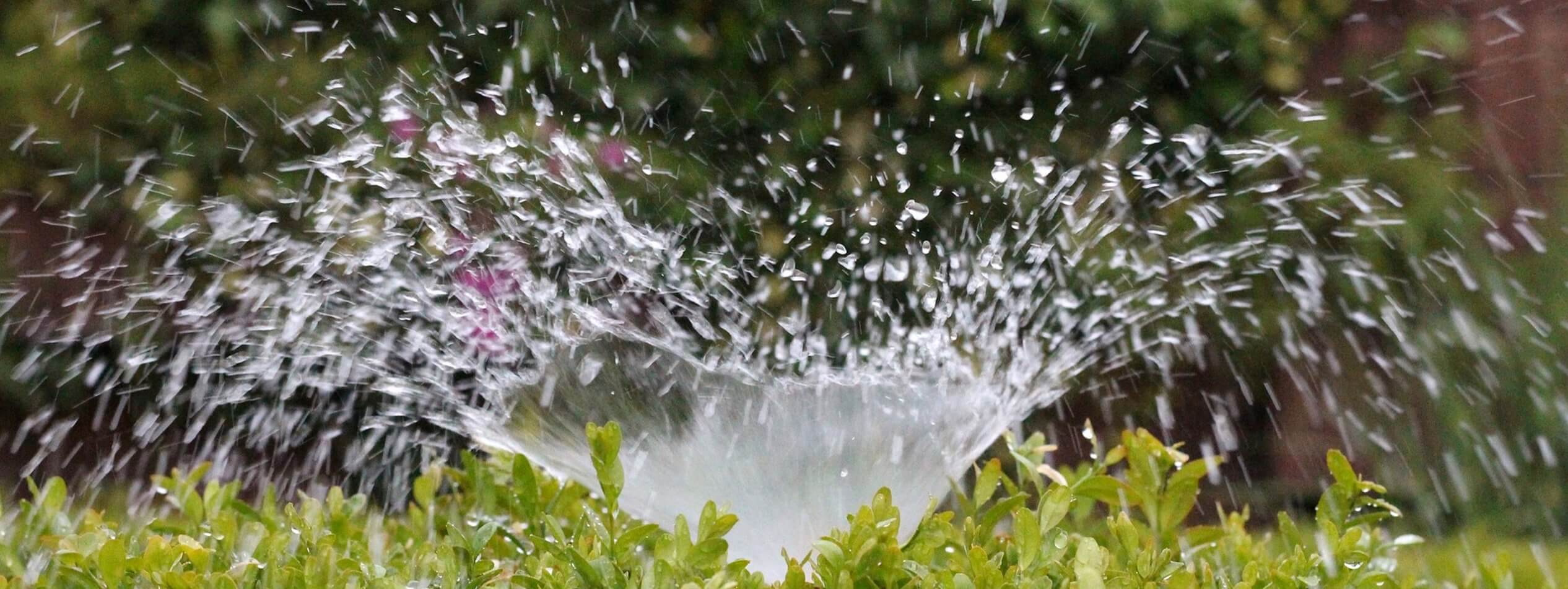 Irrigation water