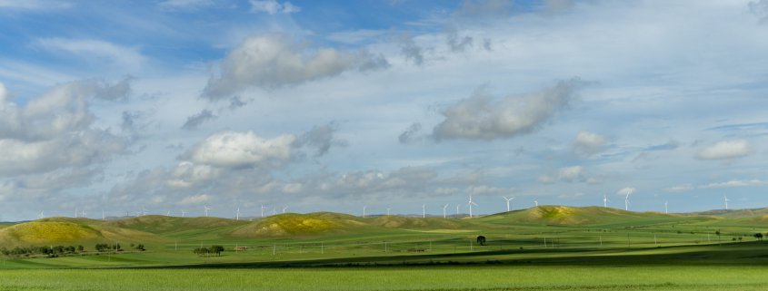 Windmills grasslands