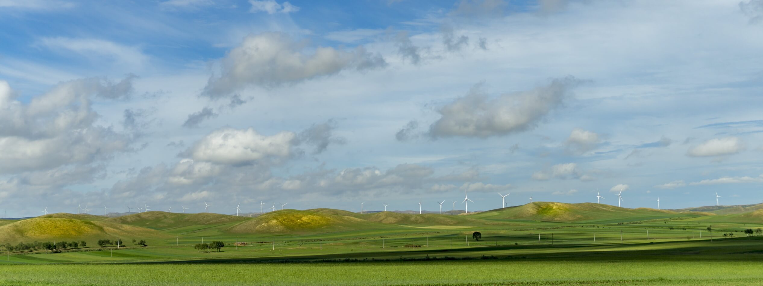 Windmills grasslands