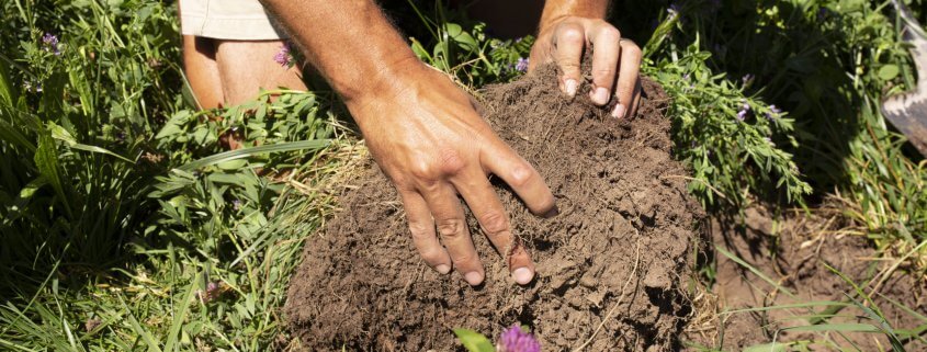 Hands in soil