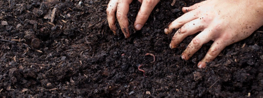 Healthy soils