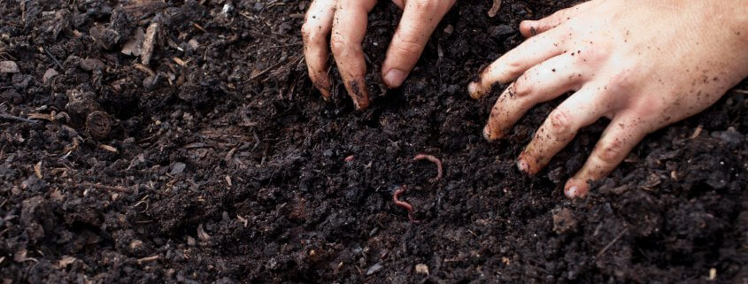 Healthy soils